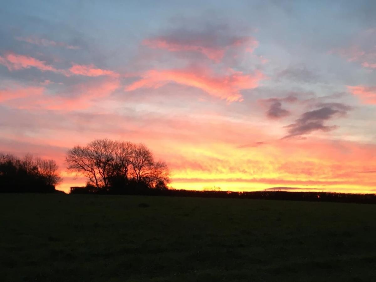 Award Winning Lower Whitsleigh Farm Cottage Roborough Extérieur photo