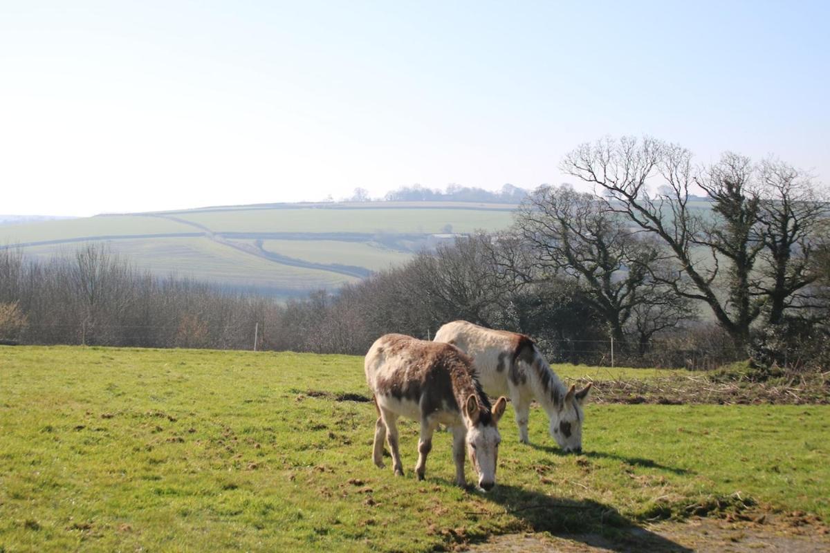 Award Winning Lower Whitsleigh Farm Cottage Roborough Extérieur photo