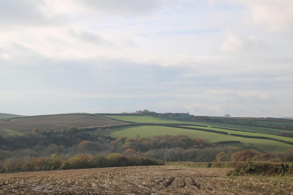 Award Winning Lower Whitsleigh Farm Cottage Roborough Extérieur photo